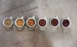 Die Große Kaffeebibel: Geschichte, Anbau, Sorten, Verarbeitung, Rezepte, Latte Art, Zubereitung -Kaffeegetränkeladen Kaffeebibel als Geschenk 1280x1280