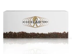 Miscela D'Oro MISCELA D ORO Pads Espresso Natura - 150 Stück IT-BIO-007 11 Miscela D'Oro MISCELA D ORO Pads Espresso Natura - 150 Stück IT-BIO-007 -Kaffeegetränkeladen Miscela d Oro Espresso Natura Pads 4 1280x1280